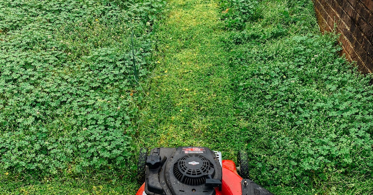 Mowing the Lawn